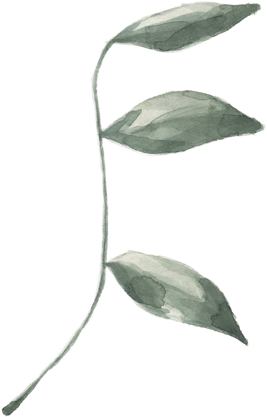 Modern oasis leaf